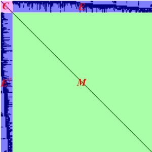 H Matrix